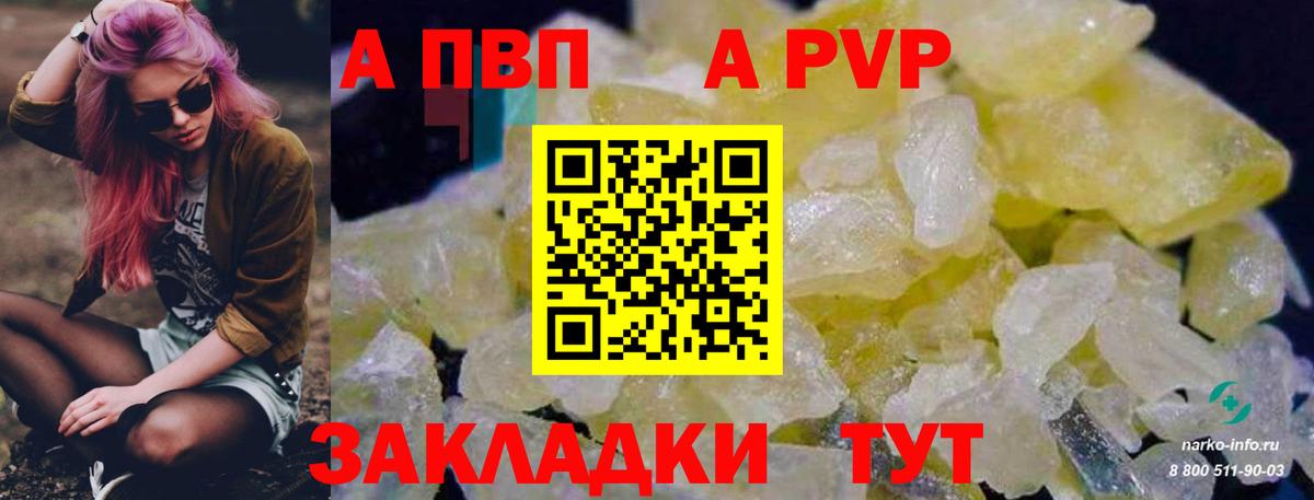 Альфа ПВП СК Тула