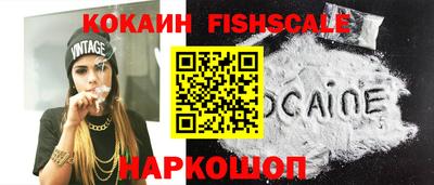 стаф Сланцы