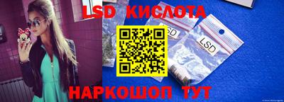стаф Сланцы