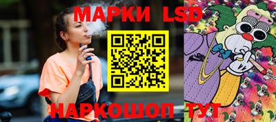 стаф Сланцы