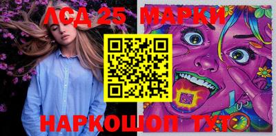 стаф Сланцы
