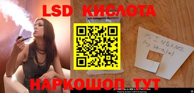 стаф Сланцы