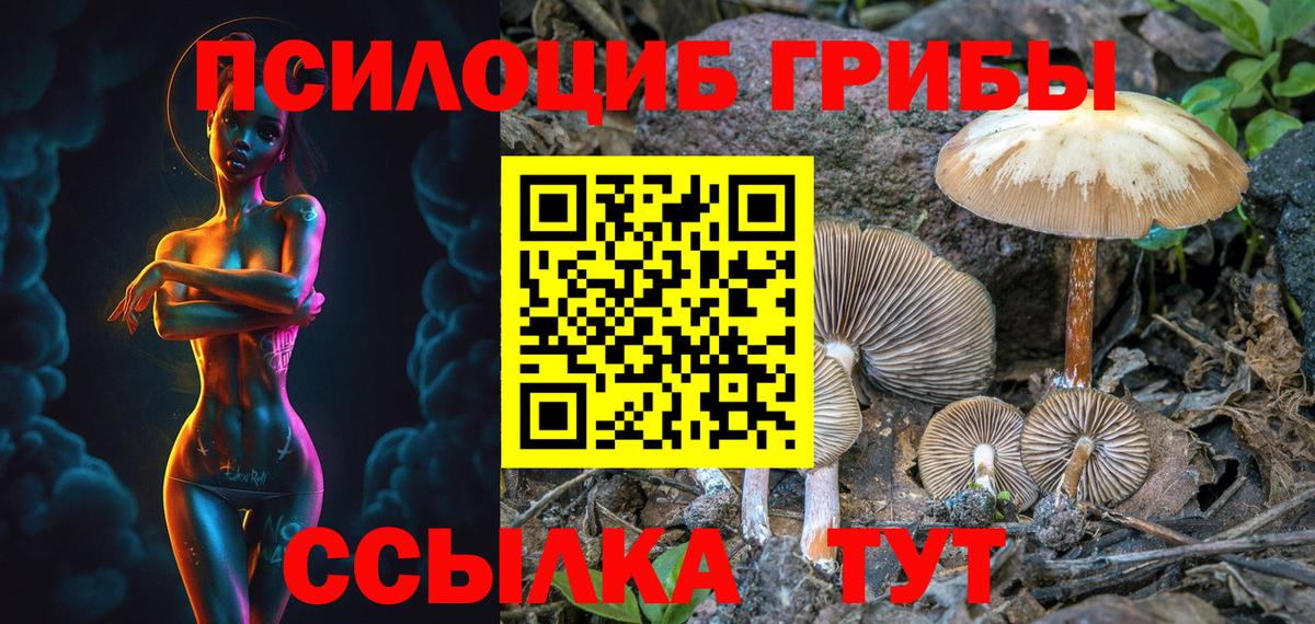 Галлюциногенные грибы ЛСД Тула