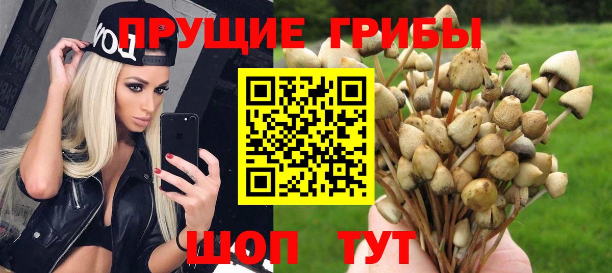 Тула  купить наркоту  Вход с VPN  Галлюциногенные грибы ЛСД 