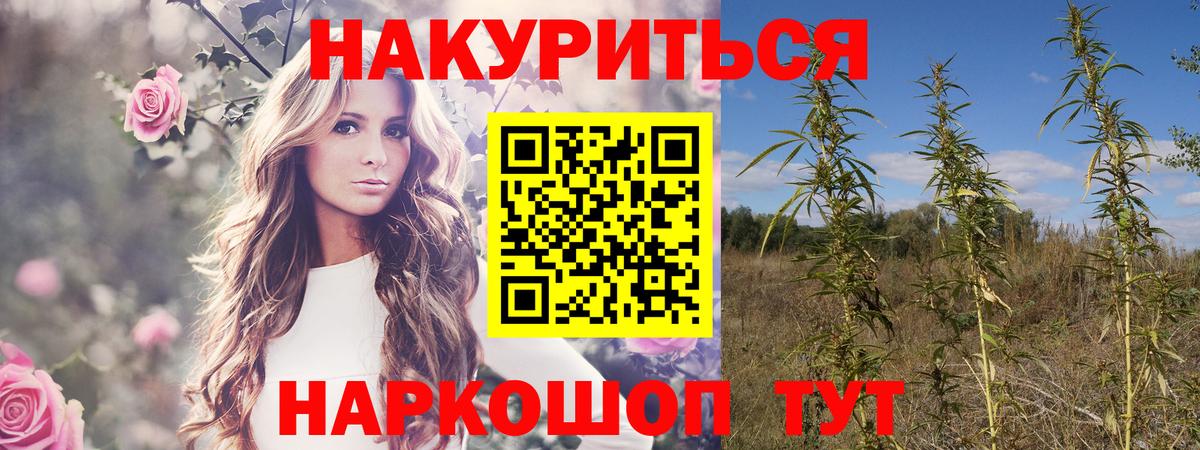 Бошки Шишки OG Kush Тула